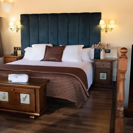 ホテル Roger De Flor By Seleqtta