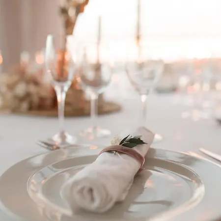 Roger De Flor By Seleqtta